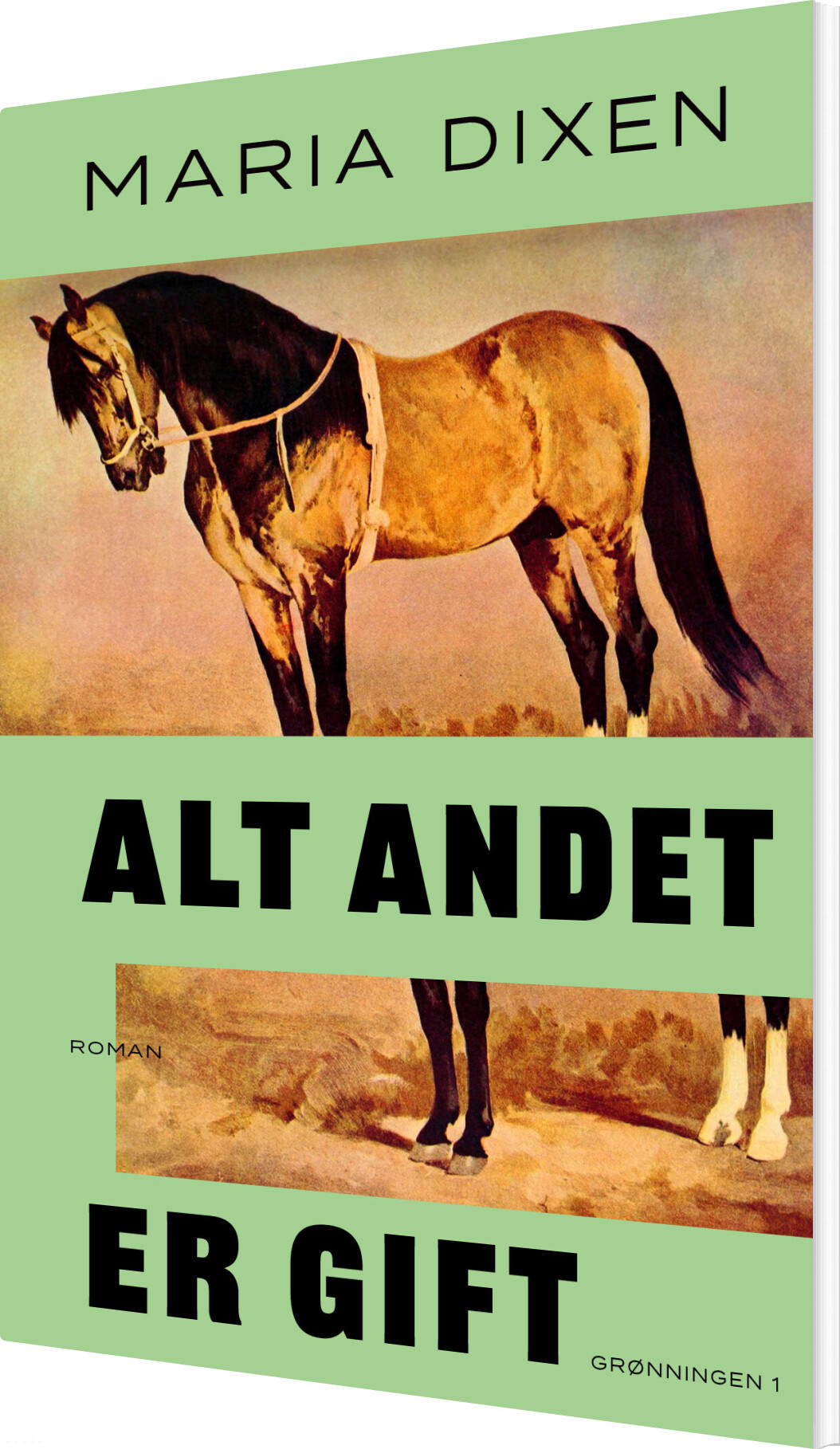 Alt Andet Gift Maria Dixen Bog