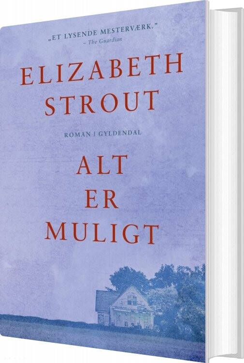Alt Muligt Elizabeth Strout Bog