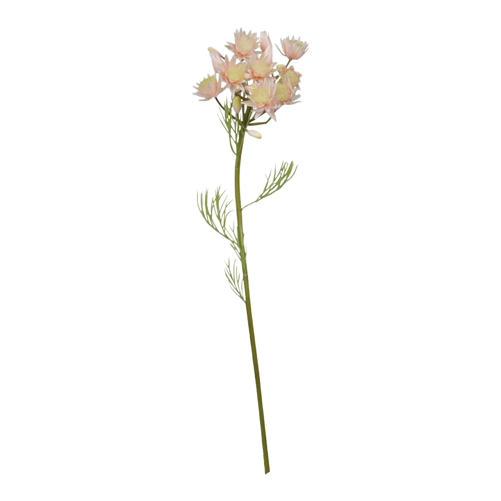 Chic Antique Fleur Grøftekantsblomst Rosa