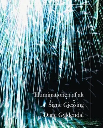 Illuminationen Alt 2023  Signe Gjessing
