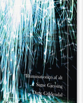 Illuminationen Alt Signe Gjessing Bog