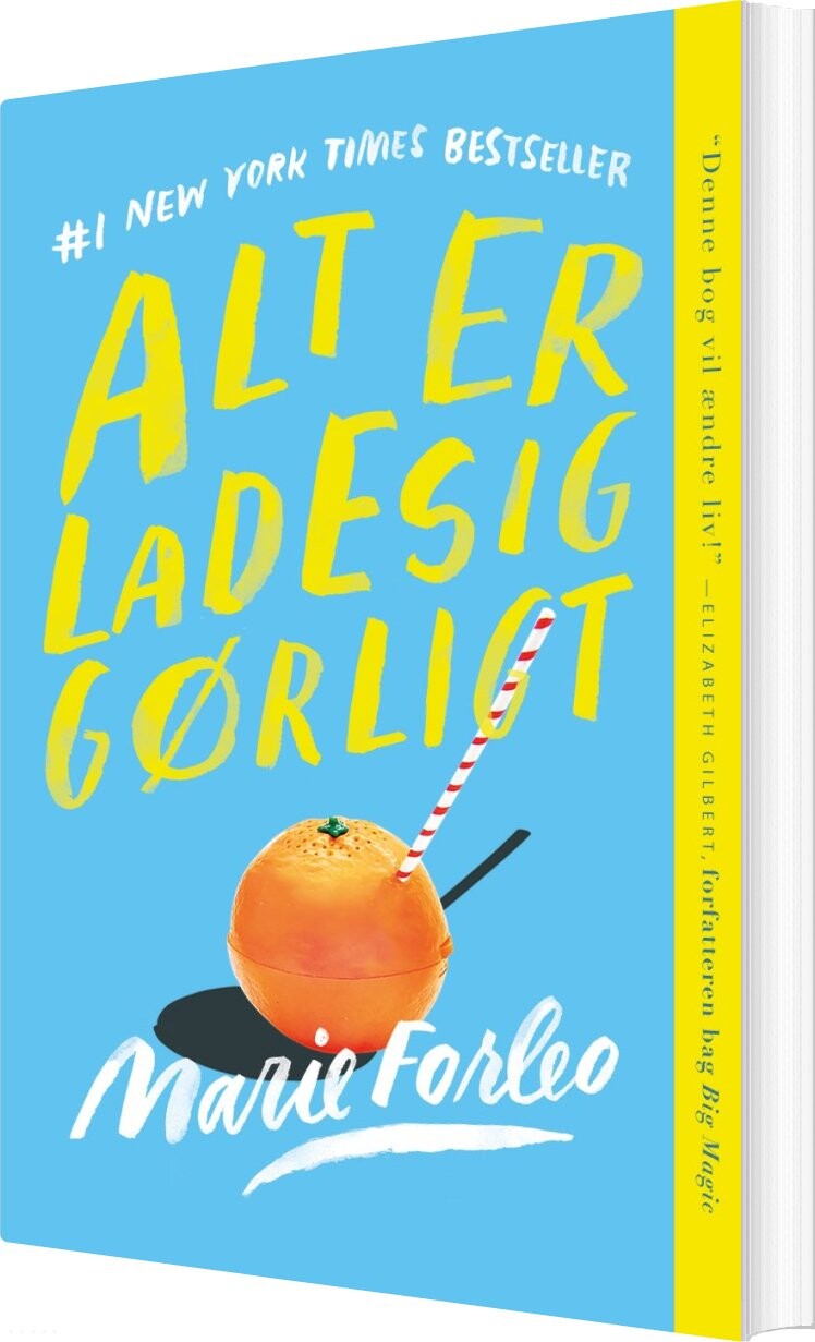 Alt Ladesiggørligt Marie Forleo Bog