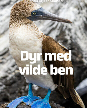 Dyr Med Vilde Ben