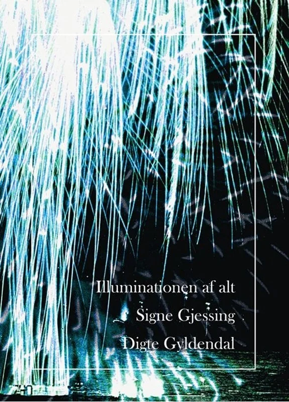 Illuminationen Alt 2023  Signe Gjessing