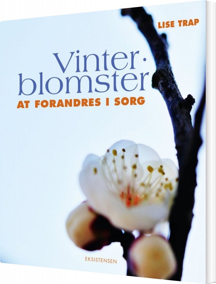 Vinterblomster Lise Trap Bog