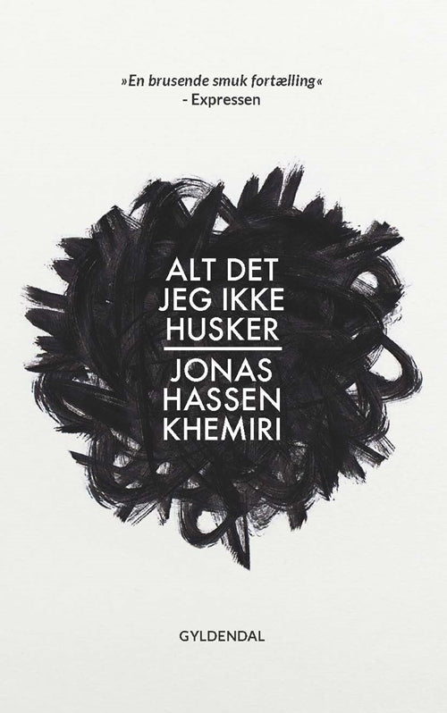 Alt Det Jeg Ikke Husker