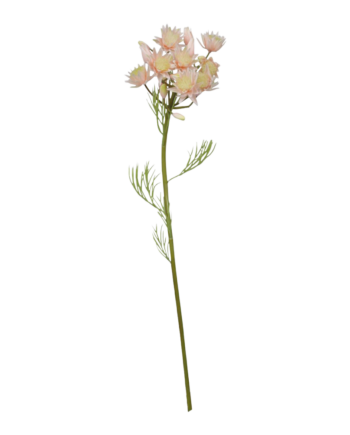 Chic Antique Fleur Grøftekantsblomst Rosa