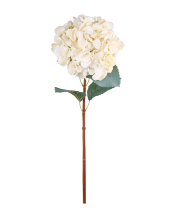 Chic Antique Fleur Hortensia Med Blade