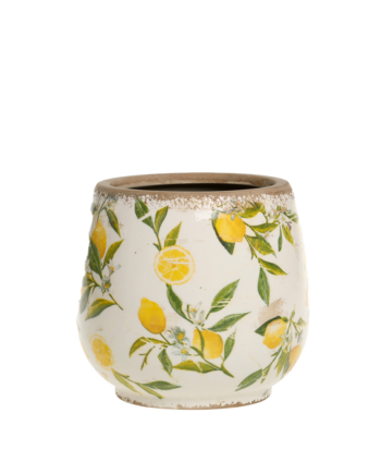 Chic Antique Limone Krukke Citroner Lille
