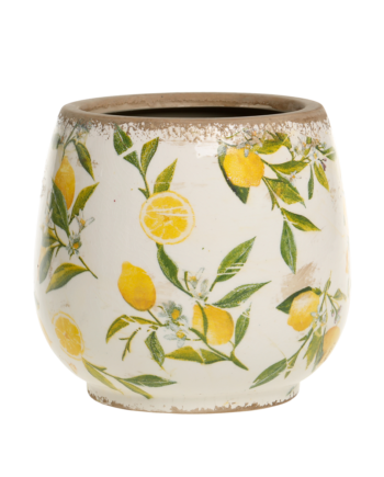 Chic Antique Limone Krukke Citroner Stor