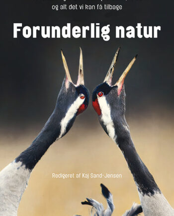 Forunderlig Natur
